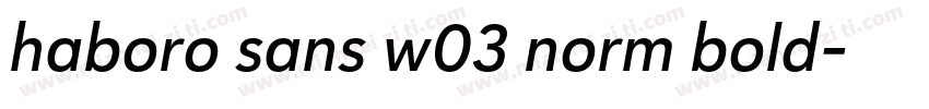 haboro sans w03 norm bold字体转换